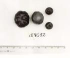 Click for 1 image(s) for this accession. FRUIT